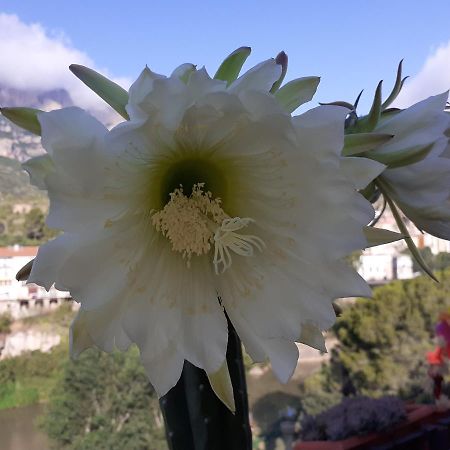 Apartamento Piso Con Desayuno Incluido Y Vistas A La Montana. Monistrol de Montserrat Exterior foto