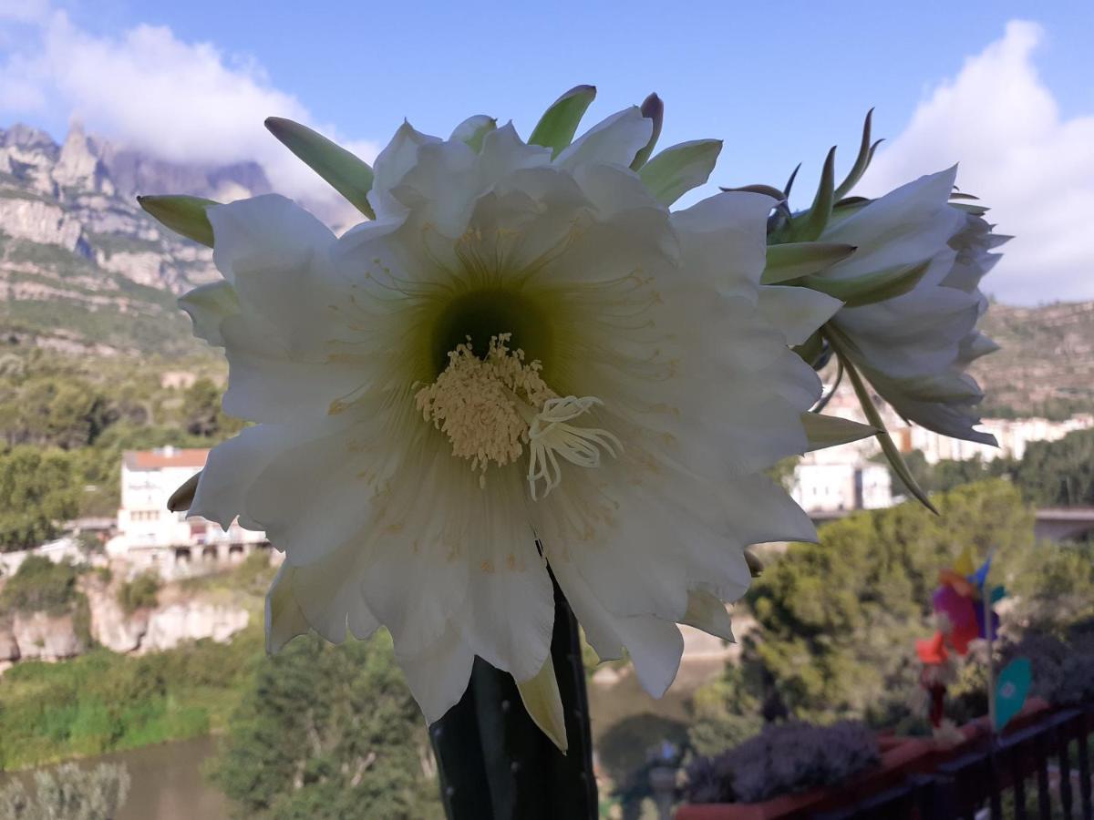 Apartamento Piso Con Desayuno Incluido Y Vistas A La Montana. Monistrol de Montserrat Exterior foto